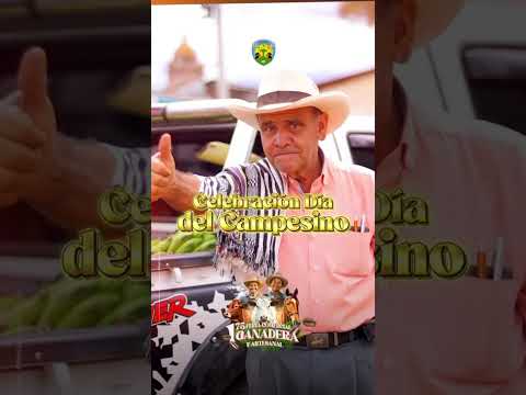 Timaná se alista para vivir la versión número 175 de la Feria Ganadera, Comercial y Artesanal