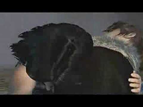 Final Fantasy VIII Apocalyptica - Bittersweet