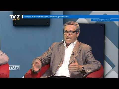 Tv7 con Voi del 15/6/2017 - Consorzio Veneto garanzie (1 di 3)