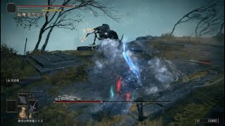 [ELDEN RING] コレが強くてニューゲームだ(2周目)
