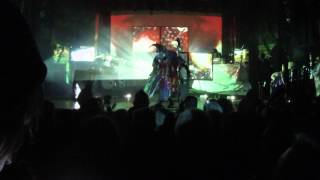 Skinny Puppy - Village (live)