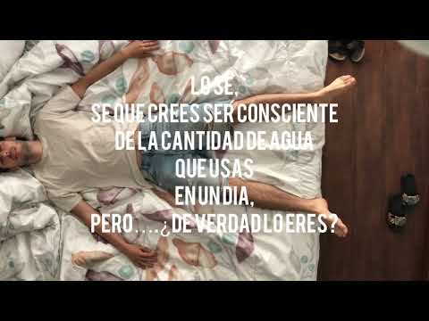 EL AUTÉNTICO CICLO DEL AGUA