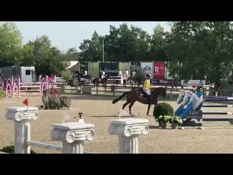 Hebron VDL & Yuri Mansur CSI3* LIER