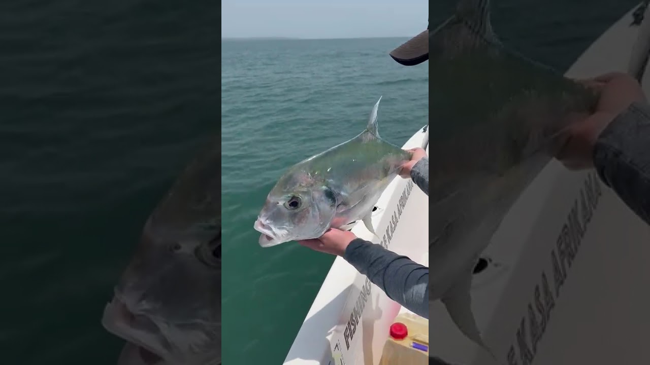 Hôtel Kasa Afrikana