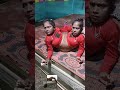Ganga Jamuna Viral