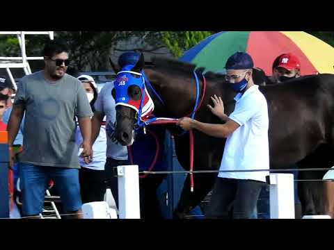 1 Páreo Class Vll GP Velocidade Nordeste Santa Fé Bezerro Pernambuco 26 e 27 de Junho de 2021