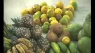 CCC MAMRE ALTAR LAYING 17