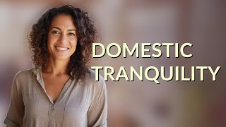 How Does 'Insure Domestic Tranquility' Protect Citizens Today