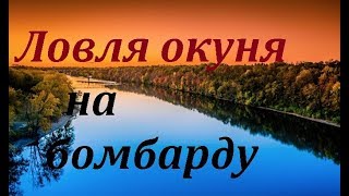 Ловля окуня на отводной поводок с бомбардой