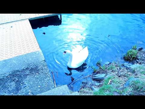 Der Kemnader Stausee ☆ März 2019☆ 🌻🍁☘🌿🕷🕸🌹