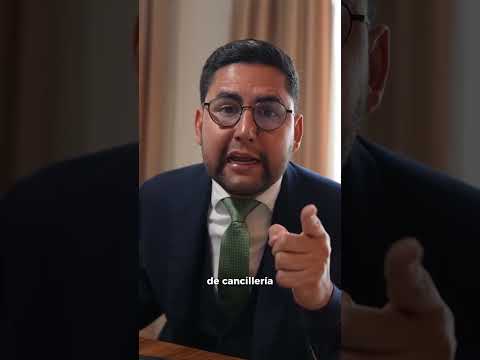 PEINANADA A MÍSTER BITER / Carlos Fernando Cuevas