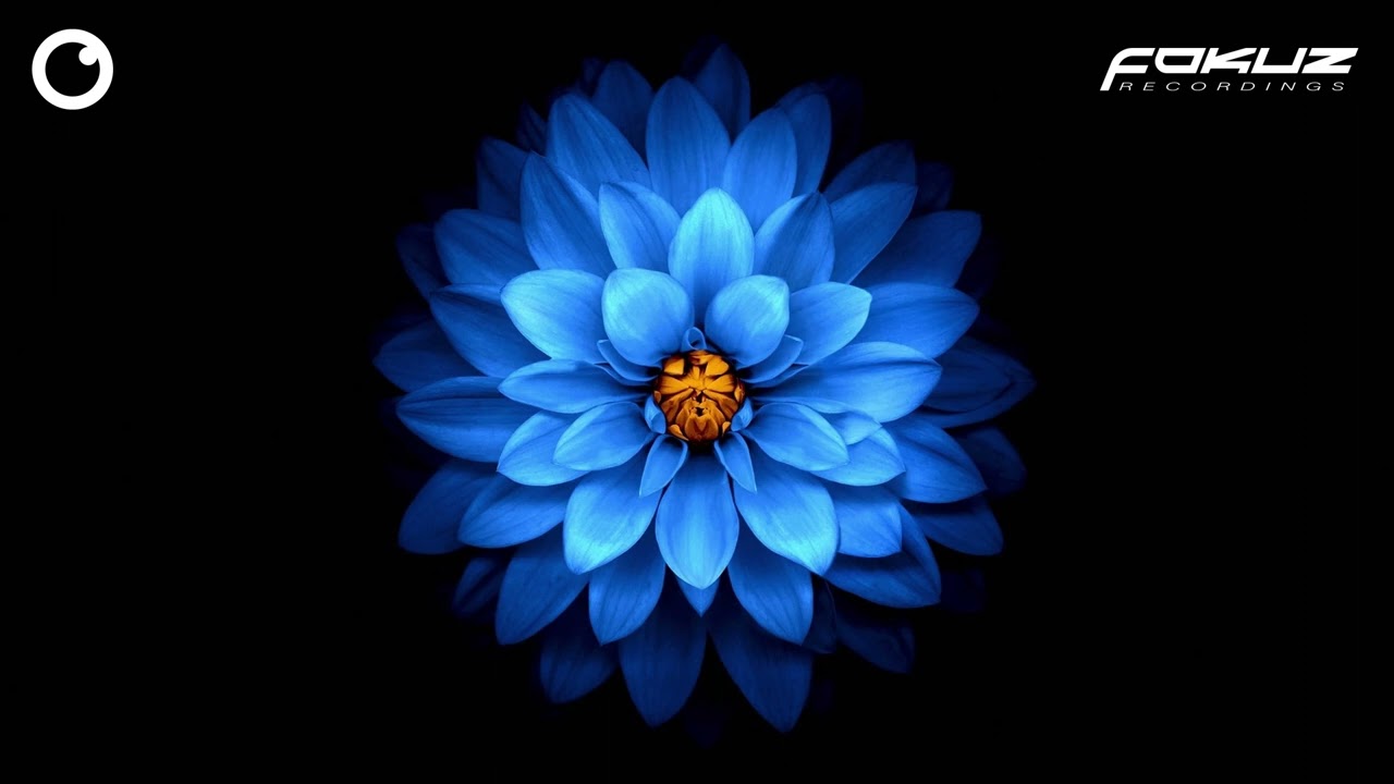 Seathasky - Difficult