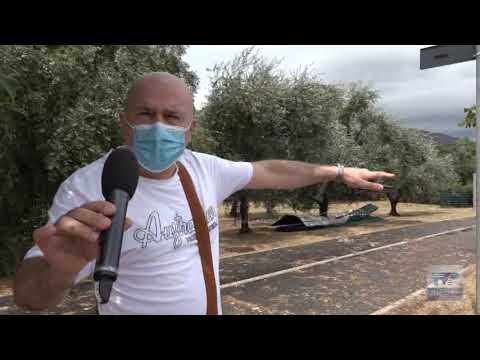 testimonianza automobilista incidente Maliseti