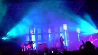 Fingertips - Cause to love you