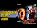 Tere Pyar Ko Salam O Sanam Gumraah Alka Yagnik Songs Sanjay Dutt Sridevi