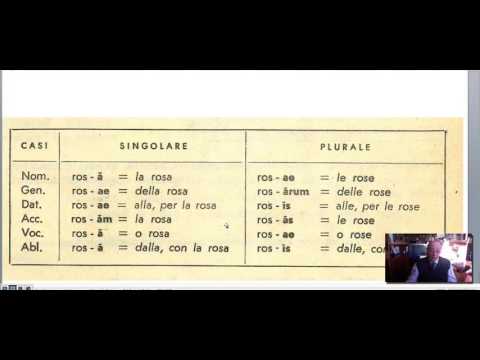 Latin from scratch Lesson N1