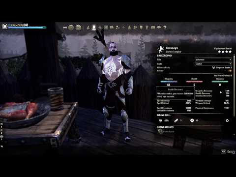 Magicka Templar One Man Ball Group PvP Build