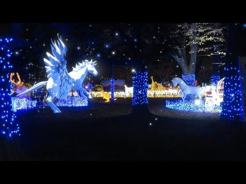 「CG版光の祭典に行ってみた！」（デジタルイルミネーション光の祭典）【足立区観光交流協会】