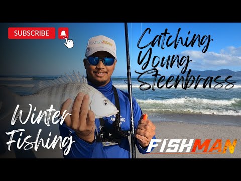 White Steenbras Fishing: Bait Building and Techniques Revealed!