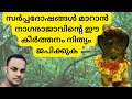 നാഗരാജ പാഹിമാം ശ്രീ നാഗരാജ പാഹിമാംNAGARA
