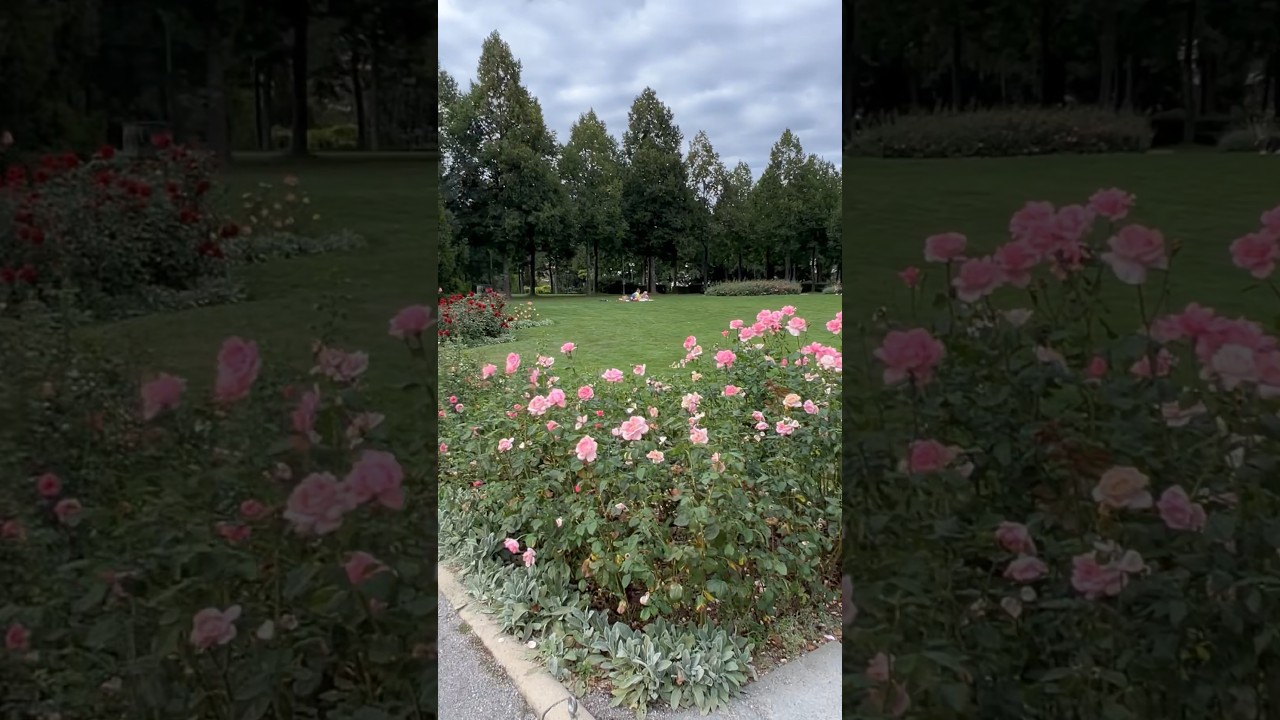 YouTube Short thumbnail