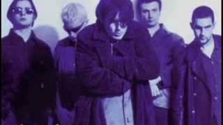 Damien Rice (Juniper) - Little Sister (Rare)