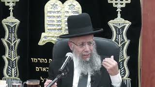 הרב גדעון בן משה שליט"א | שואלין ודורשין בהלכות הפסח | פסח התשפב