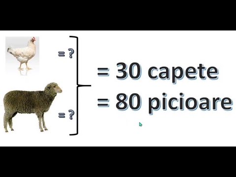 Iubesc matematica. Problema 115 - metoda falsei ipoteze.