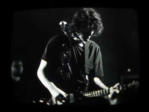 MJ Lenderman - You Are Every Girl to Me (Live)