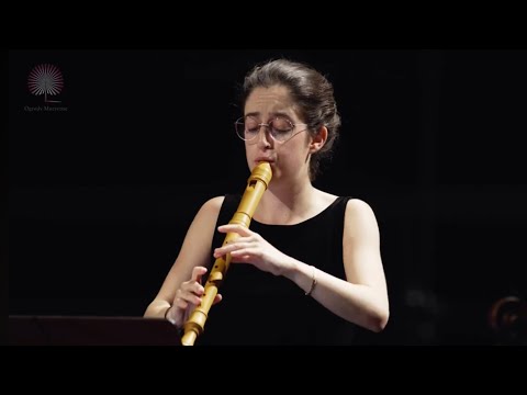 J.-B. Lully - Les songes agréables | Concentio Duo for La reine danse