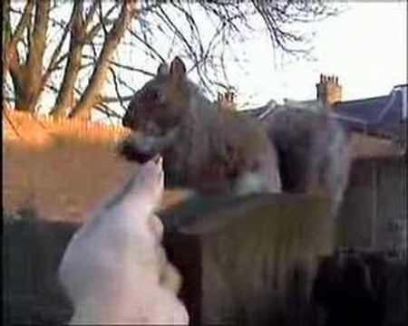 ungrateful nasty shit