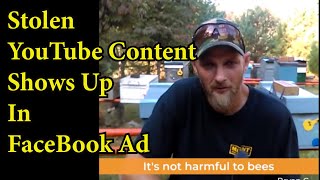 Stolen YouTube Content Shows Up On FaceBook Ad/ Winners Of Bee Feeder Announced