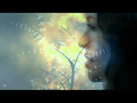 Video thumbnail for Into a King