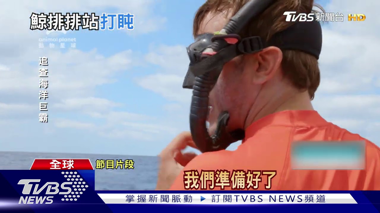 海洋巨怪抹香鯨「有想法」 與人類海底溝通