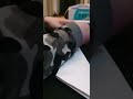 First video making a pickaxe out of paper