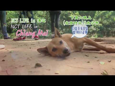 170319 NCT LIFE in Chiang Mai TEASER