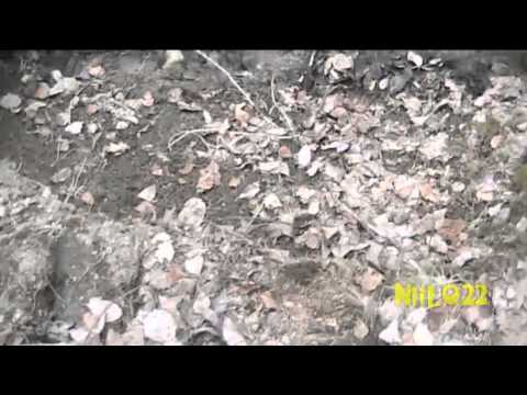 Sunnuntai 4.5.2014/viilee ilma