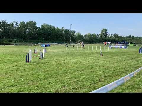 Jeroen van Oosterhout en Memphis vast parcours Amsterdam 15-08-2020