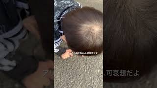 [2歳男の子]#育児あるある#男の子ママパパ#高齢出産#歳の差夫婦#保育園#パパと息子#親バカ#はちゃめちゃ家族