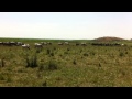 La Cogealac Percheziții La Suspecți De Furturi De Animale ZIUA De Constanta