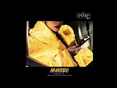 Aburrido - Remix (Mr Pimp music, Adan Cruz, Go Golden Junk)