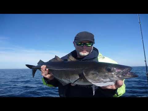 Saltstraumen Brygge - Saltstraumen - Norway