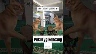 Download lagu malam takbiran#malamtakbir #idulfitri #kucingmeme #funny #lebaran #memengakakkocak #memes mp3