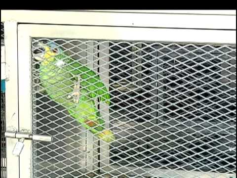 Resumen de noticias del 03 de enero de 2015 [Noticias] - TeleMedellin