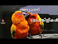 Manju Mazha Kattil New Whatsapp Status