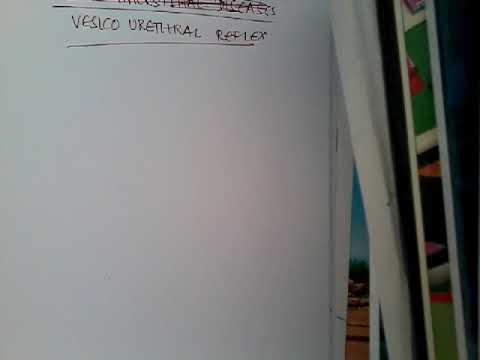 Vesico Urethral reflex ||  renal system