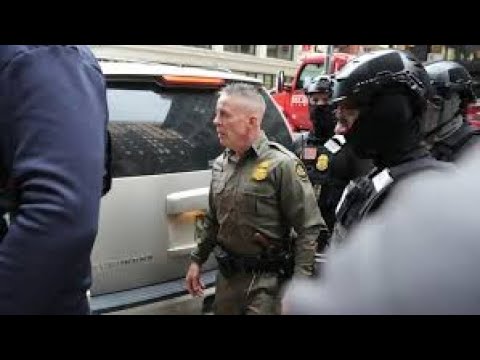 Greg Bovino the angry little man - a tarot reading