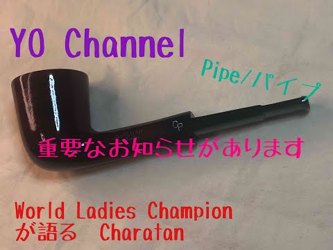 【PIPE Charatan Knightbridge 333】パイプ　チャラタン　ナイトブリッジ333 重要なお知らせ付き