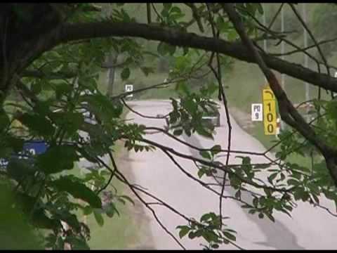 Teodor Kocur Fiat Seicento OPEN-1600 - Sienna 2009