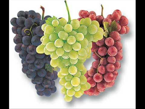 Vladimir Maričić & The Ritual band - Crno grozje (grape)